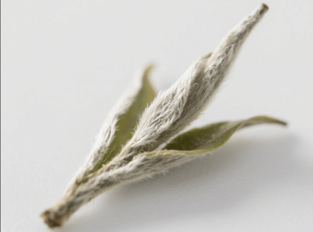 家庭手工炒茶详细步骤 自家炒茶叶怎么炒？