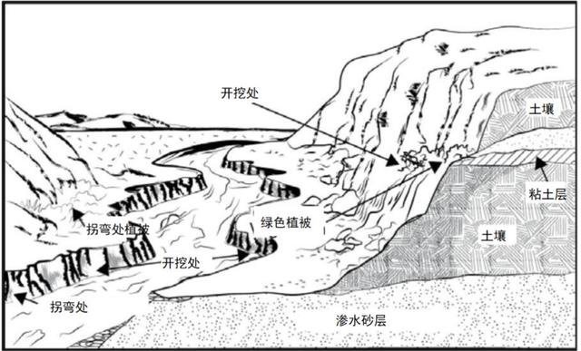 野外生存训练如何获得干净淡水?