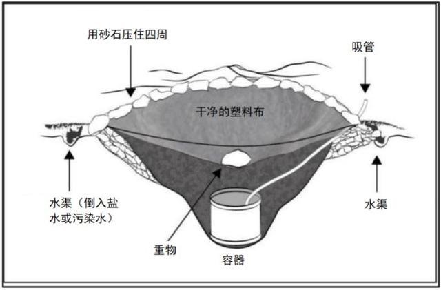野外生存训练如何获得干净淡水?