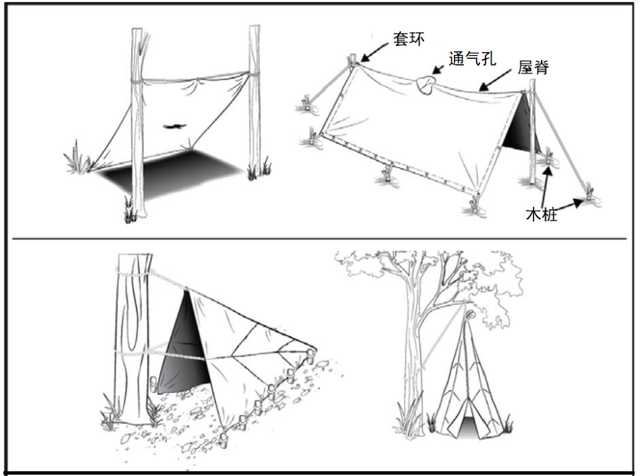 野外生存训练如何搭建庇护所?